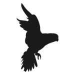 FlyRec