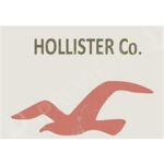 Eagle Hollister home store