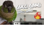Gucci Birbz