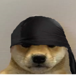 WE DA NOOB MASTERZ!!!!