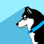Husky Fan Club :3