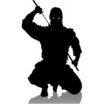 The Best Ninjas In Robloxia