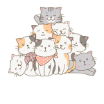 The cat's pyjamas