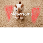 Cat's are adorable group