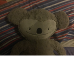 SAVE THE KOALAS KOALA KOALA KOALAS