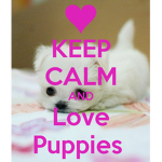 THE PUPPY LUV GROUP!