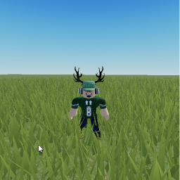 Flat Terrain