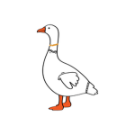 Goose-Attire