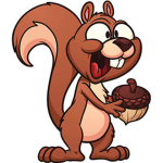 THE ONE AND ONLY SQUIRREL CULT