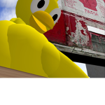 )fficial duck cult