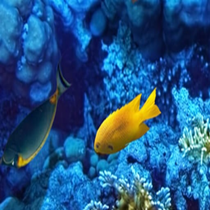 Fish Aquarium Top Left Roblox decal