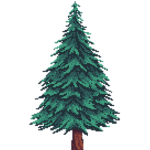 Pine army