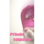 F13nds!