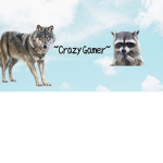 ~My Crazy Gamers~