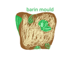 Brainmold