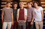 THE ONE AND ONLY ONE DIRECTION FAN CLUB