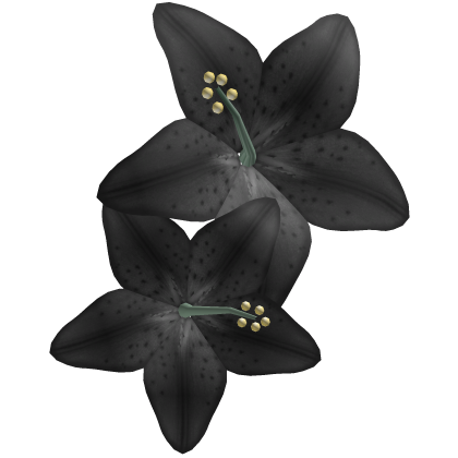 Tropical Hair Lily Flowers Black Roblox item