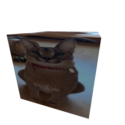 Floppa Cube