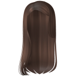 Brown Over the Shoulder Hair