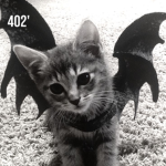 402'