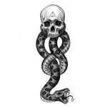 The Death Eaters (go away if a muggle)