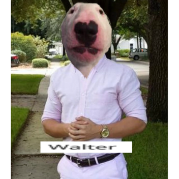 [❗❗SAUL GOODMAN UPDATE❗❗] steal your parents car s