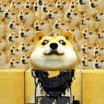 #DogeSquad™