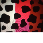 Moo Moo Friends Forever
