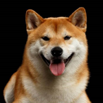 Cult Of the Epik Doggos