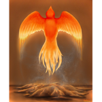 The Phoenix Raiders