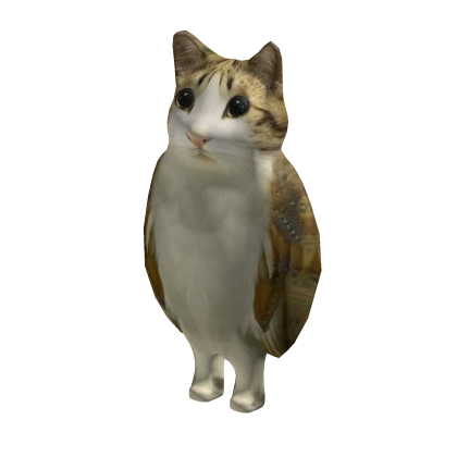 Meowl Meme