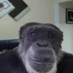 Biggerer Monkey