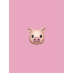 Pig Fam :)