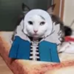 Catstar family