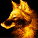 FireWolf's Fire Clan