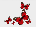 Butterfly Gymnastics!!