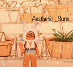 Aesthetic_Suns