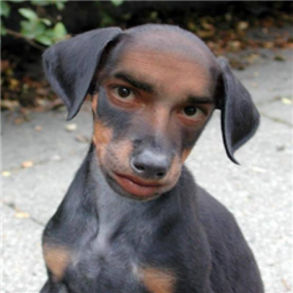 Weird-Dog Roblox decal