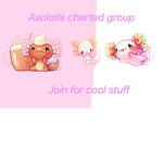Axolotl charted group