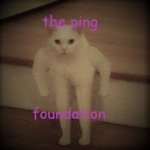 | The Ping Foundation |