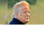 we hate trump here