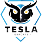 Team Tesla inc