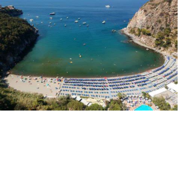Amici di Pane - Spiaggia Tycoon!!!