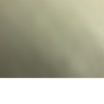Robux trade honey