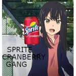 $PRITE CRANB£RRY GANG