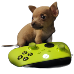chico the dog's group