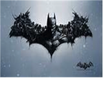 The Bat Man Fighting Group