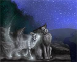 Warrior Cats Of BlackWater Clan
