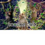 the best monke cult