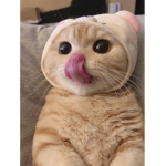 .$.$.$